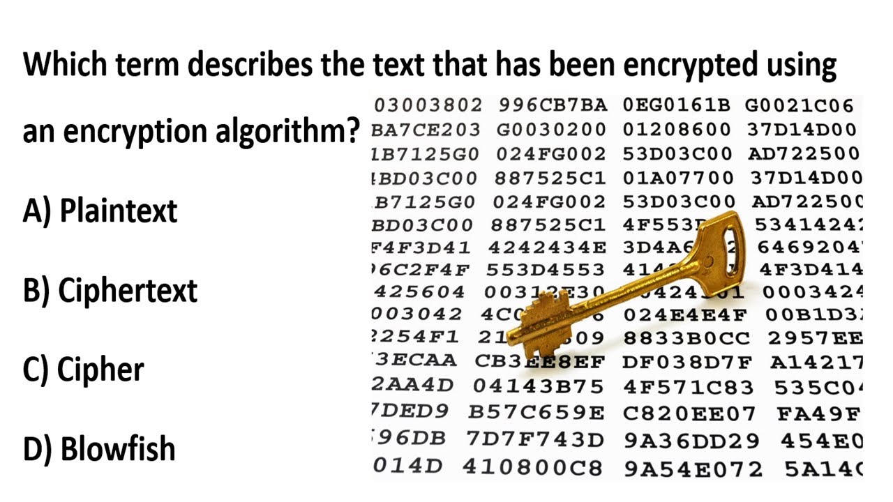 Understanding Ciphertext & Plaintext in Blowfish & WhatsApp Encryption 🔐