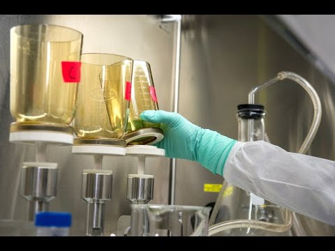 Biomedical NER with Pre-Trained Language Models (2025)