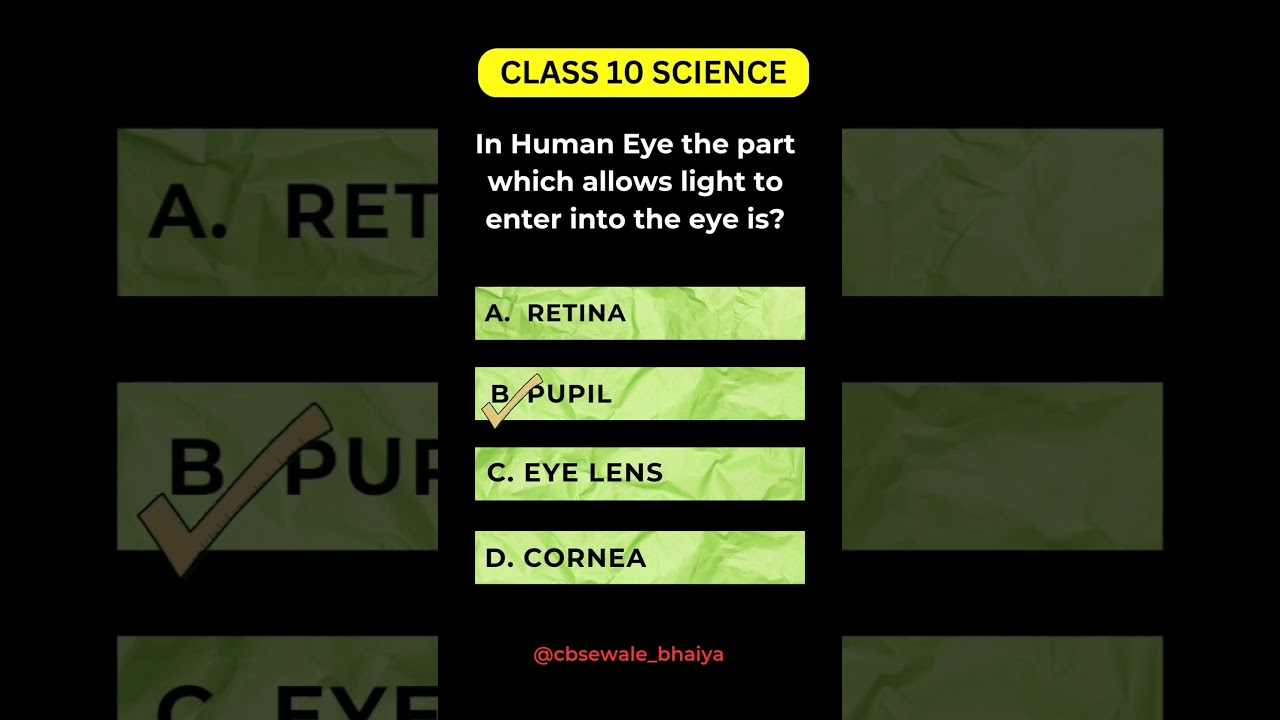 Class 10 Science Important Questions & MCQs for CBSE 2025 π | Exphub