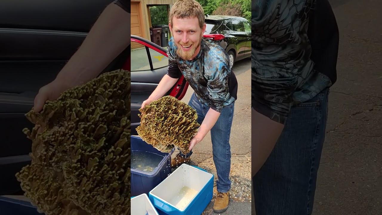 Customer Trades In Frag at The Coral Farm 🌊