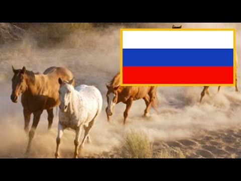 Oleg Gazmanov - Yesaul / Олег Газманов - Есаул