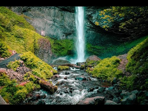 Расслабляющая музыка для сна - Музыка, которая снимает стресс - Тихая музыка - Музыка для облегчения