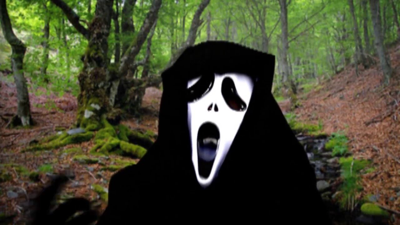 El Bosque Siniestro 🌲