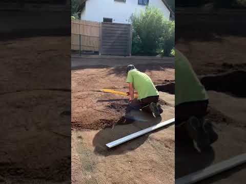 Boden für Rollrasen vorbereiten 🌱