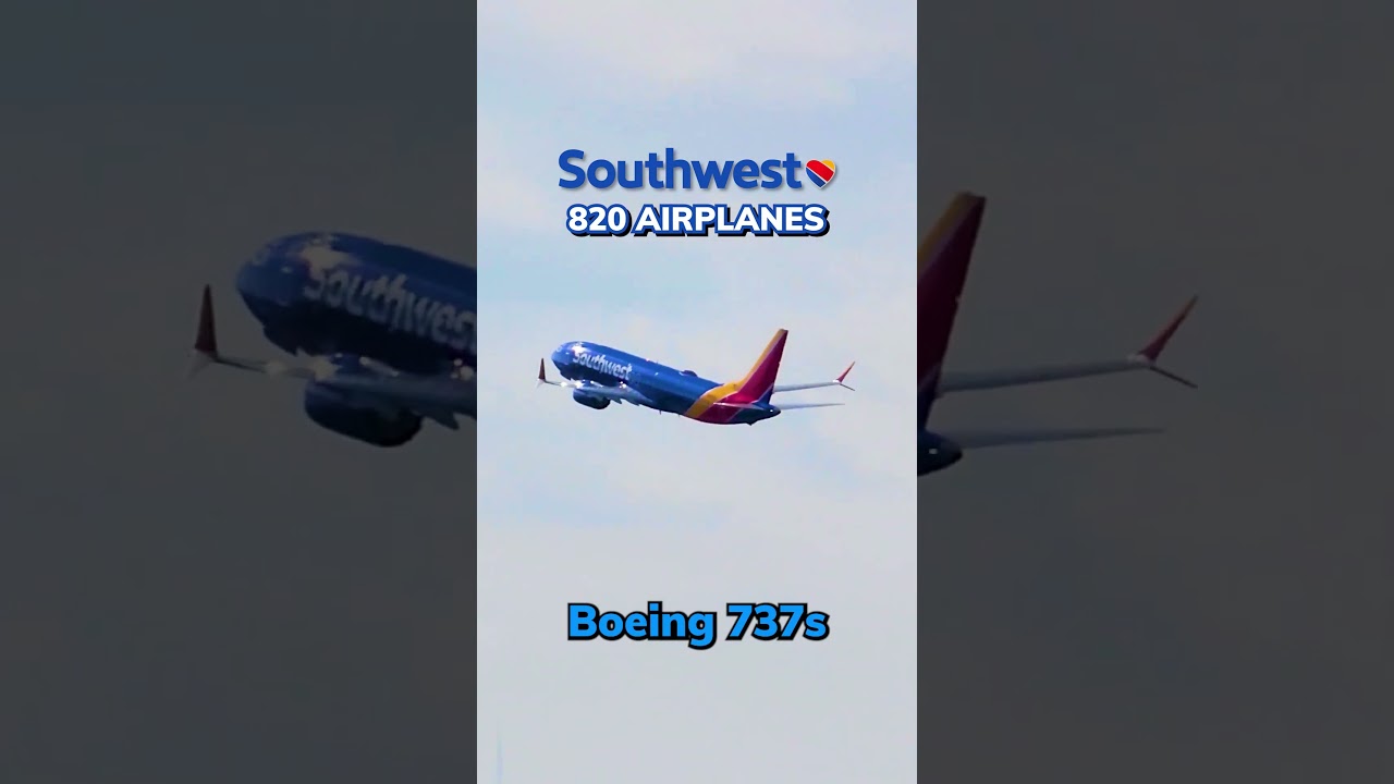 Which Airline has the MOST Airplanes?! ✈️