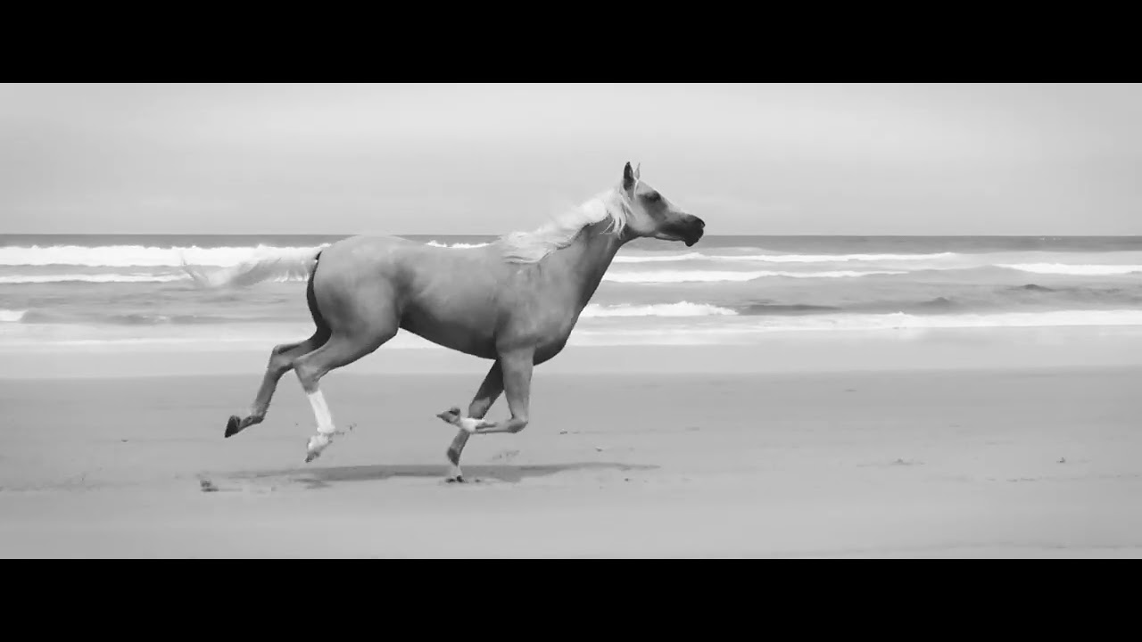 Bryan Adams - Here I Am (Live in Melbourne) 🎤