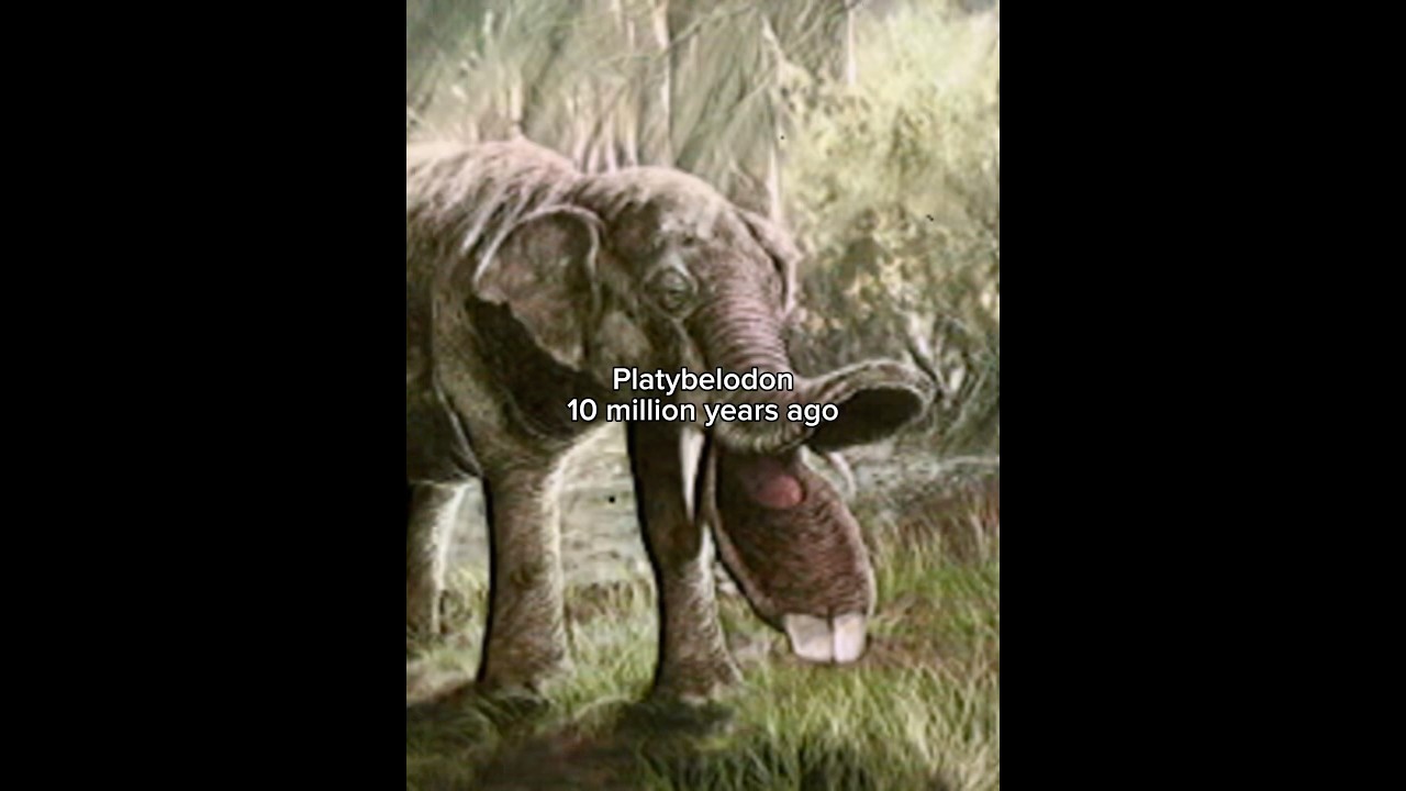 Prehistoric Elephants: The Most Fascinating Extinct Creatures