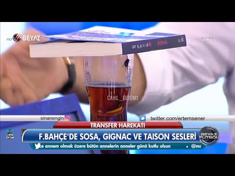 Sinan Engin, sineği boğup sonra kurtarıyor