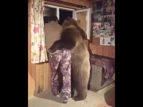 Русский медведь и западные санкции 🐻