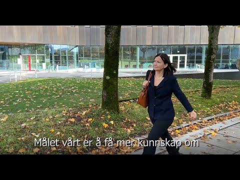 Prisdryss ved Universitetet i Stavanger