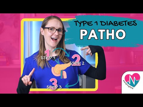 Type 1 Diabetes Pathophysiology & Critical Points 🩺