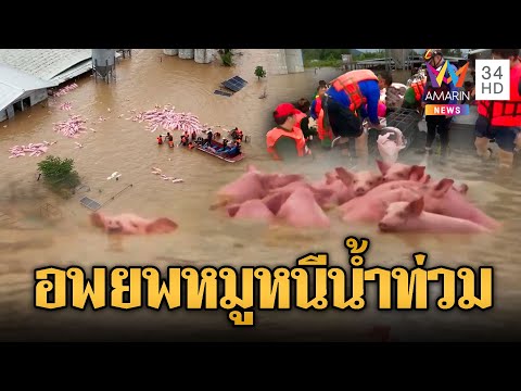 เร่งอพยพหมู พันกว่าชีวิตหนีน้ำท่วม | ข่าวอรุณอมรินทร์ | 25/7/68