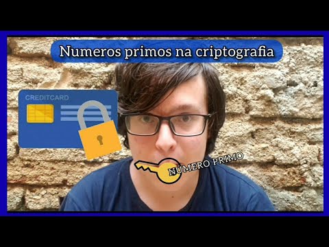Números Primos e a Criptografia