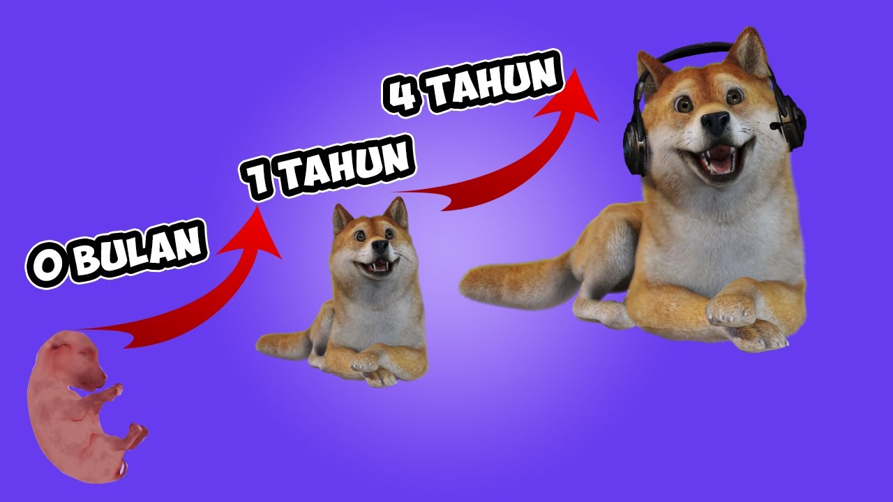 Obit Main Dog Life Simulator 🐶 dari Kecil Sampai Besar