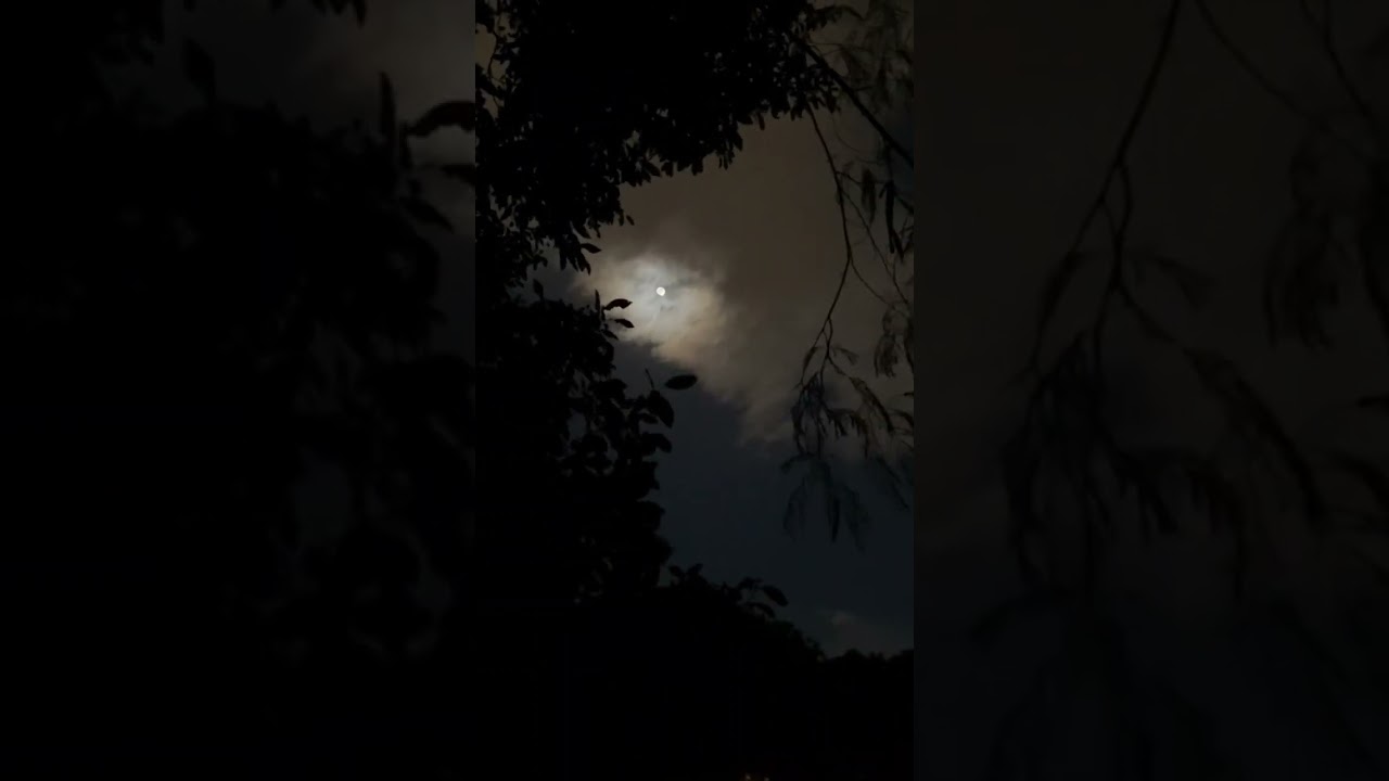 Jamurathiri Jabilamma 🌙 Night Moonlight Vibe