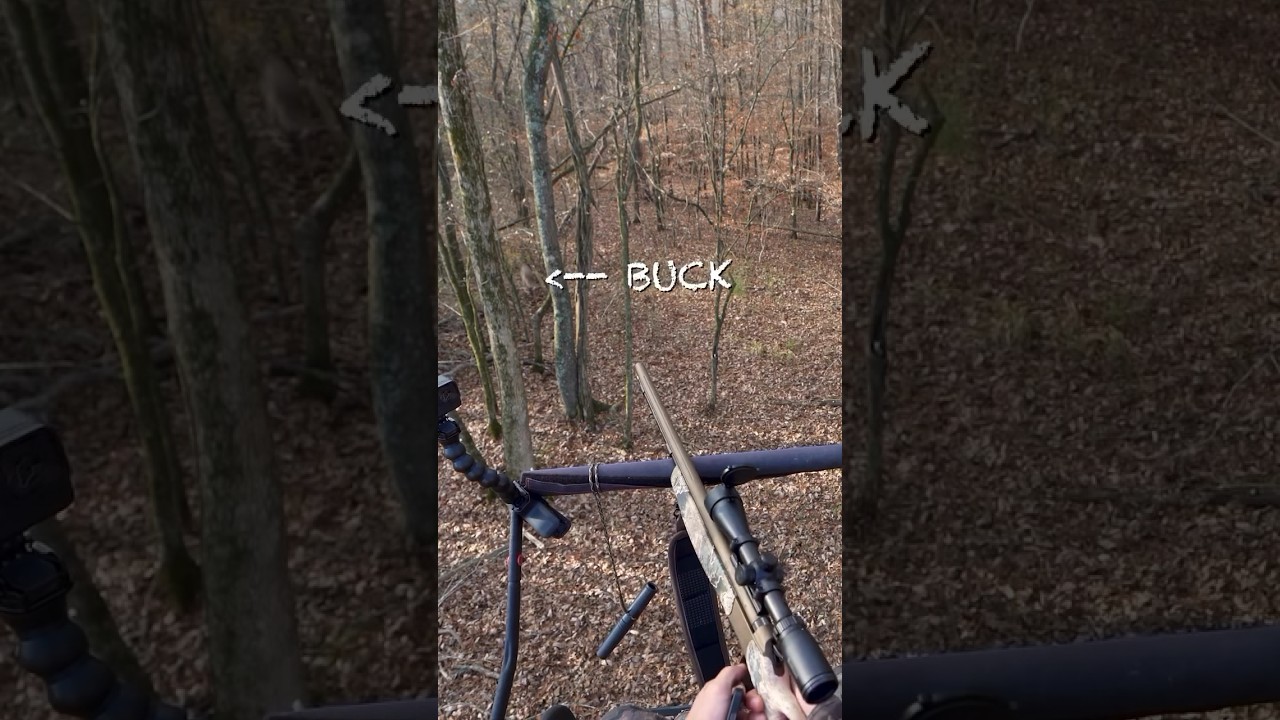Incredible 5-Yard Buck Encounter! π¦