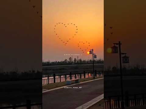 Kyu Dikhe Mujhe Tu Sirhane Mere ❤️🕊️ ~ Aesthetic status | Channa ve Song #shorts #lyrics #love #lofi