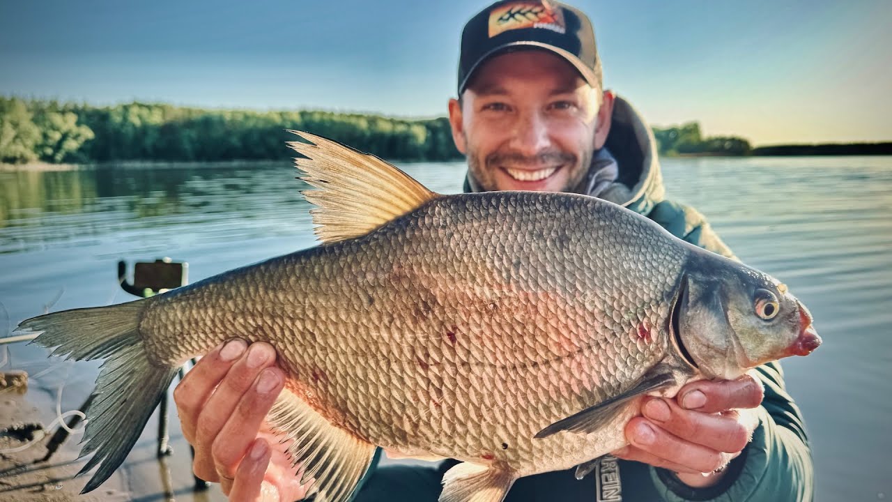 Первый Трофейный Лещ! 🌊 Фидерное Турне по Волге: Ульяновск и Самара