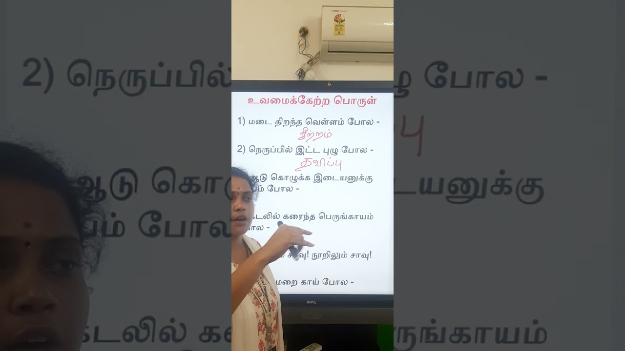 உவமையை பொருளோடு பொருத்தும் பயிற்சி - பகுதி 4 📝