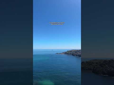 The best beaches in South Australia that you must visit 🐚🌺 #beach #southaustralia #travel #summer