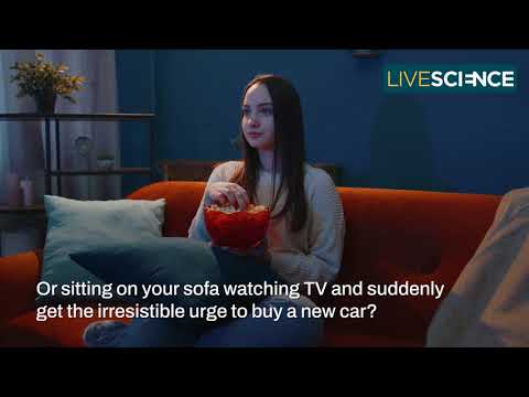 Top 10 Conspiracy Theories Unveiled 🤔