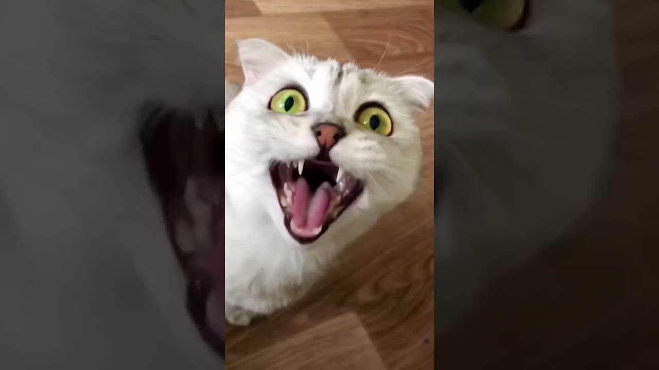 AaAaAaA - Unique Pattern Game