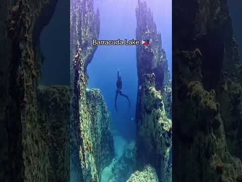 Most Beautiful Places in Philippines 🇵🇭 | #shorts #travel #explore #nature #viral #adventure