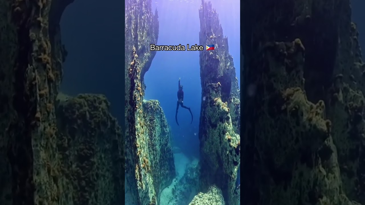 Top 4 Breathtaking Destinations in the Philippines 🇵🇭 | Must-Visit Spots for Travel & Adventure