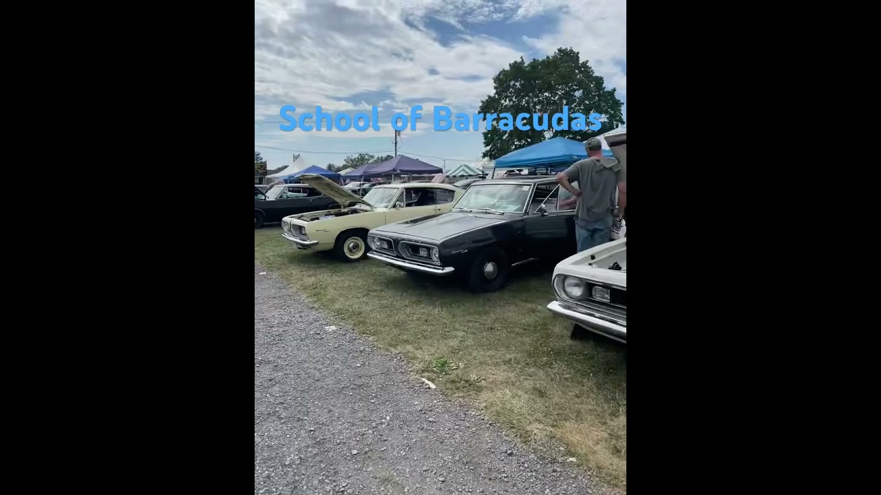 Carlisle Chrysler Nationals 2024. A-body Barracudas. #mopar #moparornocar #car #viral #automobile