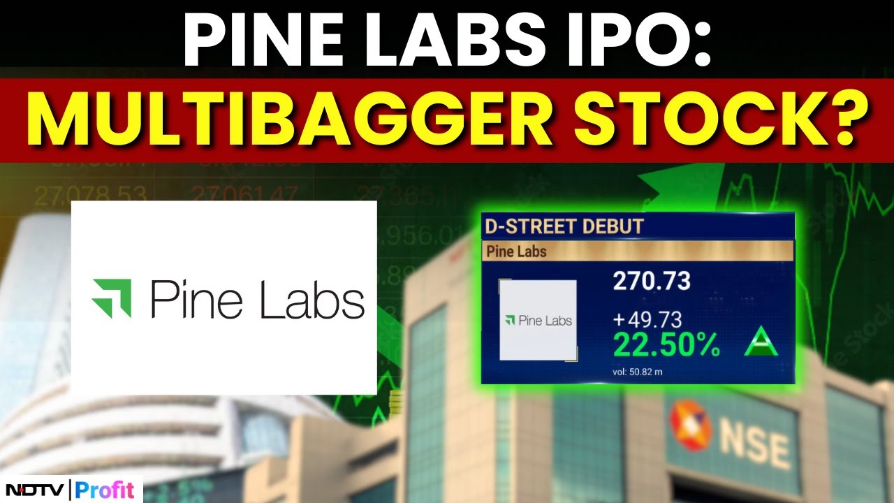 Pine Labs IPO: CEO On Big IPO Debut, Reveals Key Takeaways To Watch Out For | Pine Lab IPO News