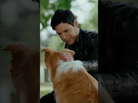 Cooking My Way Back to Love-1