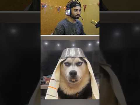 تضحك تخسر 5 #ضحك #funny #trynottolaugh #تحدي_الضحك