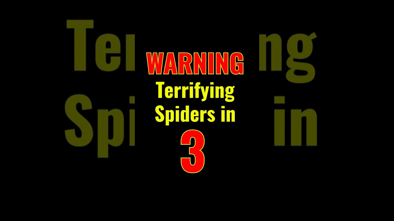 Kill It With Fire 2: Co-op Spider Hunt 🕷️