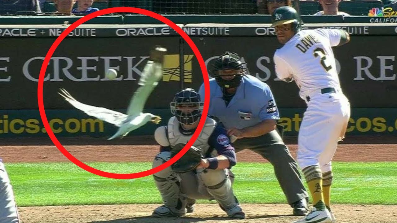 Top 1-in-Trillion Moments in Sports History 🏅