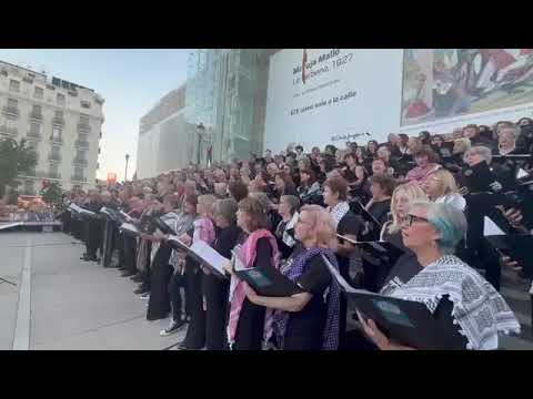 Voices of Solidarity: Afghan & Palestinian Women Concert 🎶