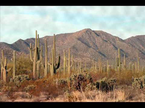 J.J. Cale - Santa Cruz (Rare) 🎸