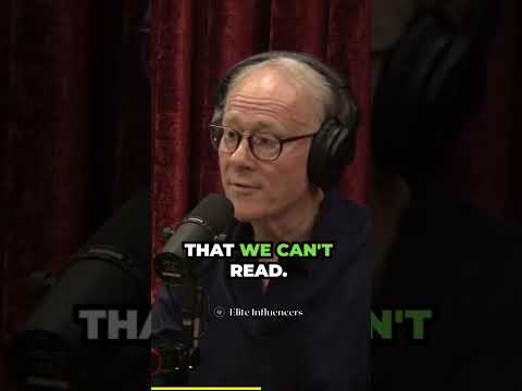 The Mystery of the Undeciphered Indus Valley Script 📜🔍