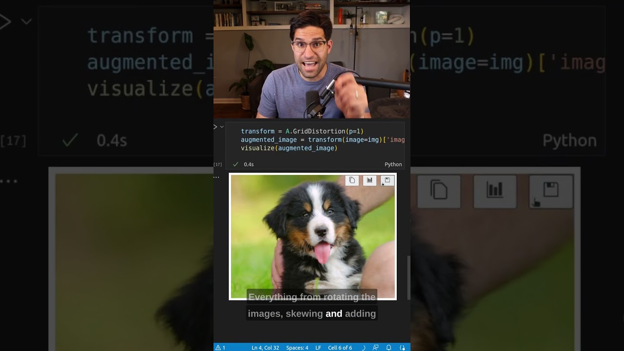 The Power of Image Augmentation in Data Enhancement