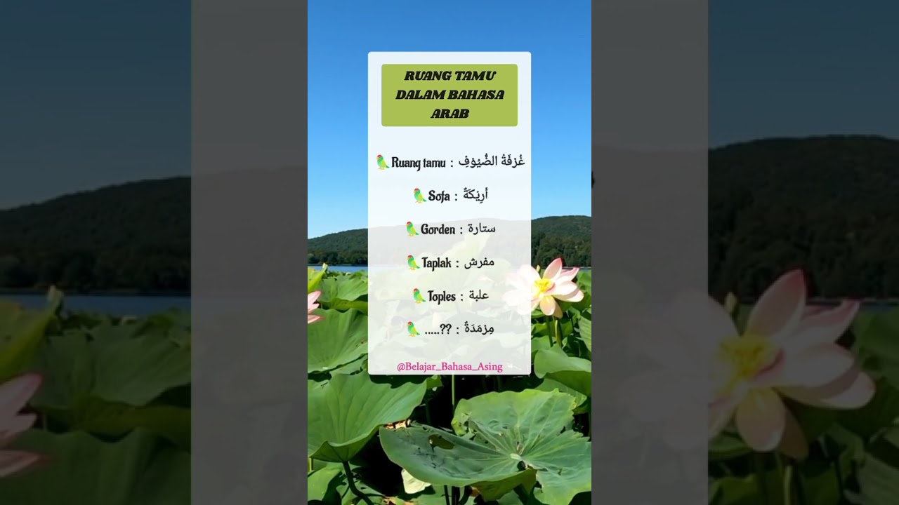 Ruang Tamu dalam Bahasa Arab 🏡