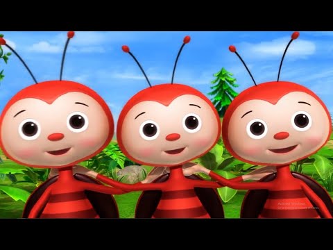 Tập tầm vông, Chú khỉ con, Nhạc thiếu nhi remix sôi động