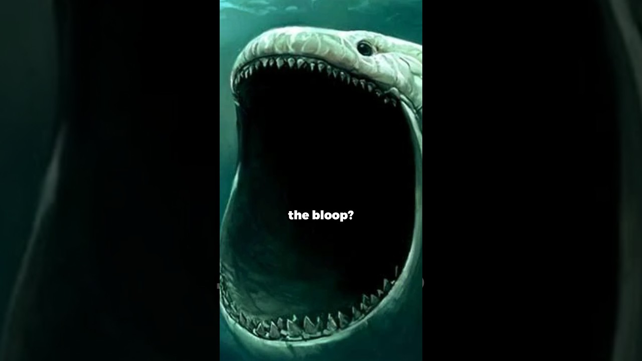 Unveiling Ocean Mysteries 🌊