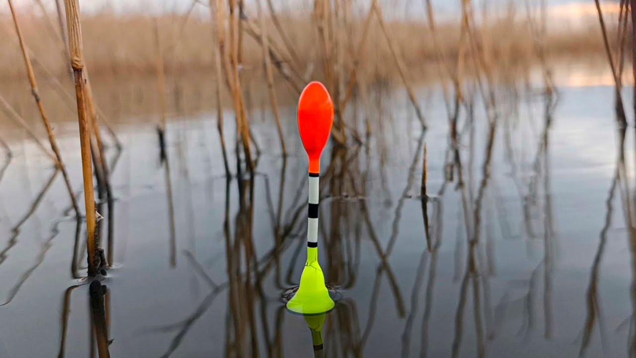 3 Ловля карася в ноябре на поплавок 🎣