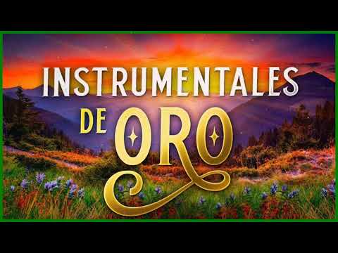 Instrumentales De Oro Del Recuerdo Las Mejores Canciones Instrumentales