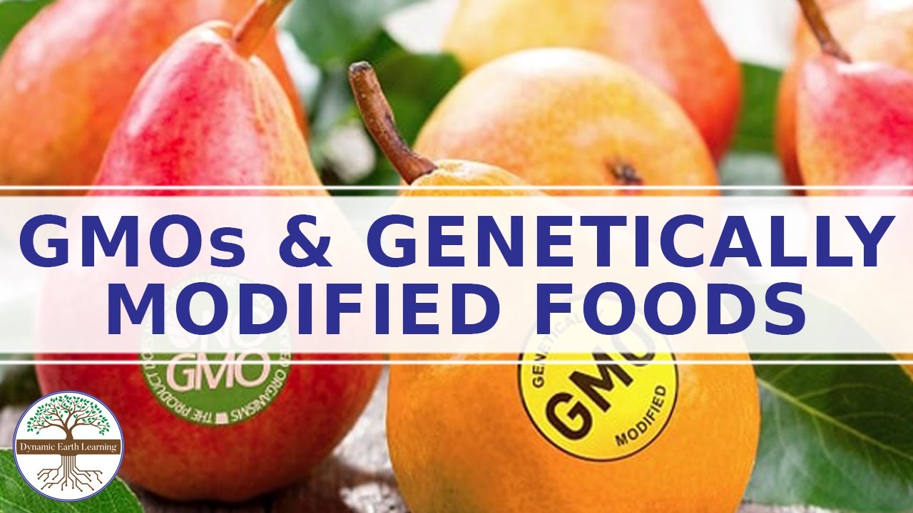 GMO Foods: Pros & Cons on Human Health 🌱