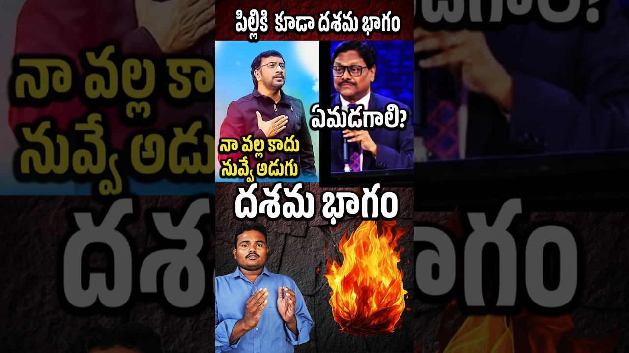 పిల్లి కోసం దశమ భాగం ఇవ్వాలా? జాన్ వెస్లీ ఫౌండేషన్ యొక్క ముఖ్యమైన సలహాలు 🐱