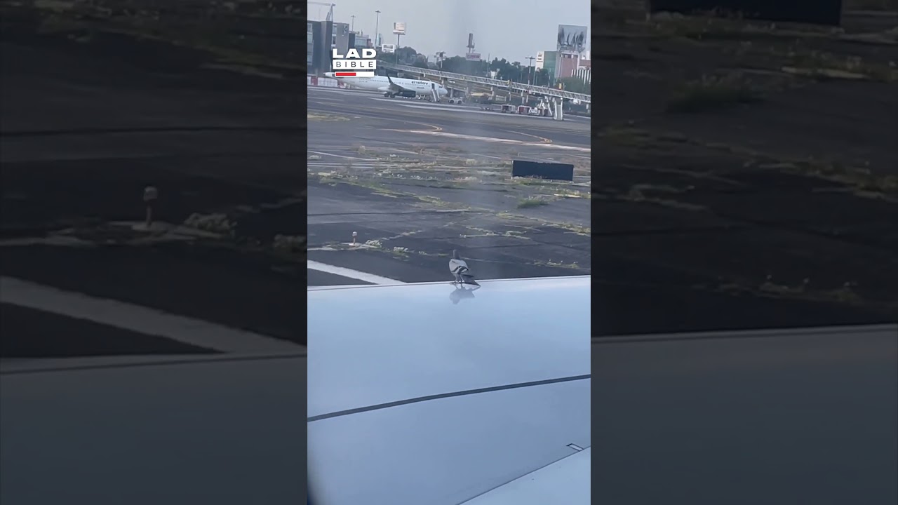 Jet2 Holiday Fun 😅