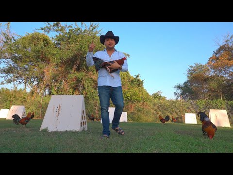 Soy De Tierra Caliente - La Profecía 2024 🎶