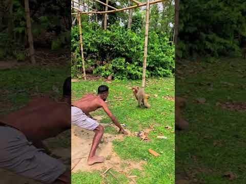 monkey man😂😂