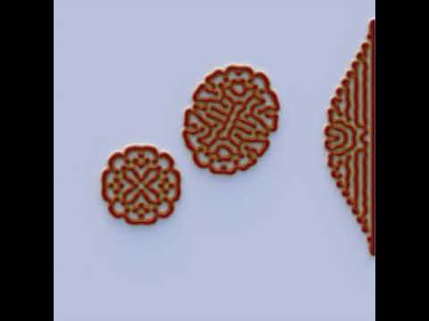 Labyrinth Reaction-Diffusion Turing Pattern - Morphogenesis