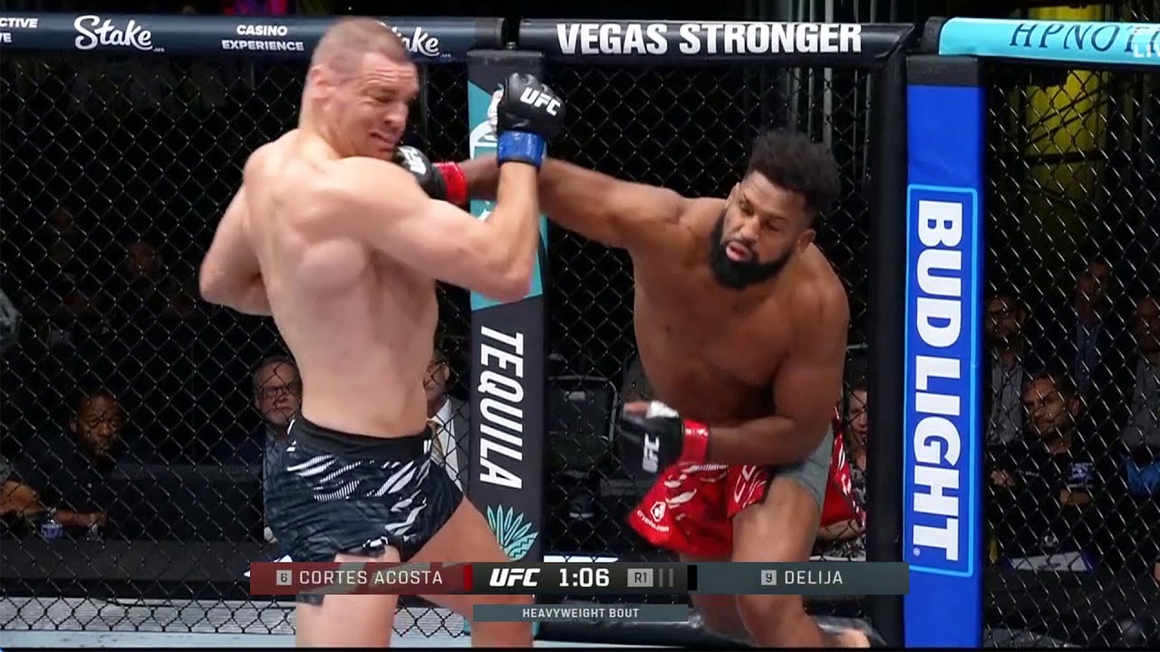 Waldo Cortes Acosta vs Ante Delija Full Fight Recap UFC Vegas 110